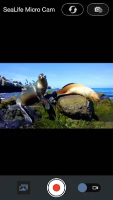 SeaLife Micro Cam android App screenshot 2